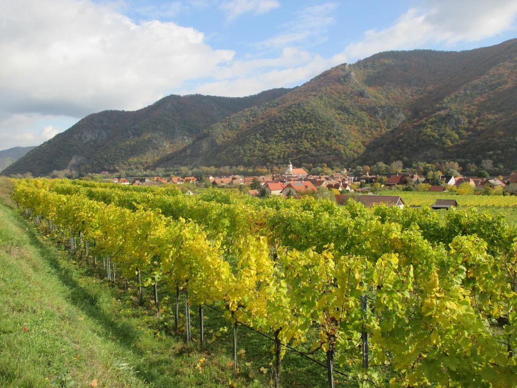 Gaestehaus Rudolf U. Sandra Denk Wosendorf in der Wachau Exterior photo